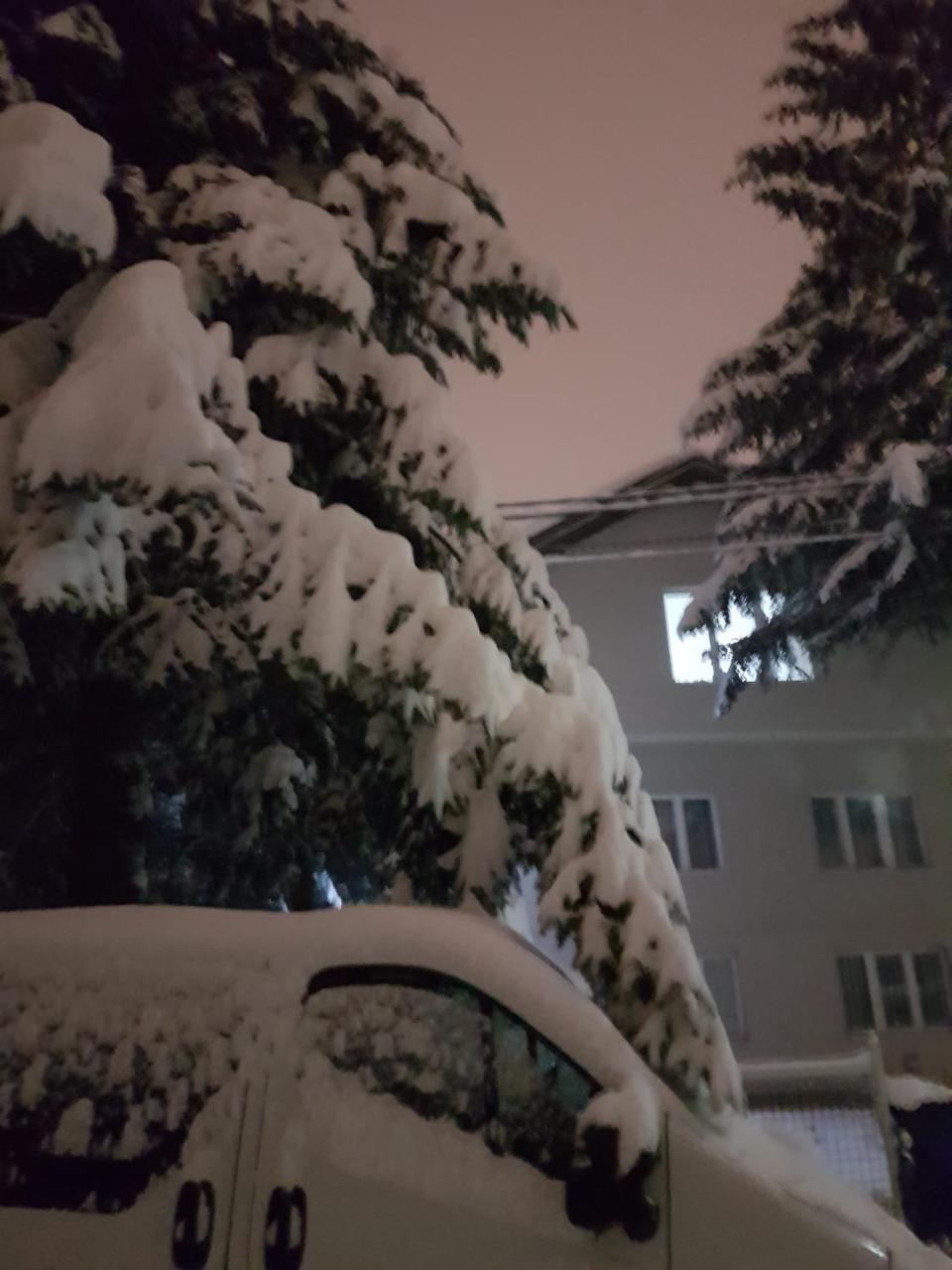 Cosy And Chic... Parking Included Apartamento Sarajevo Exterior foto